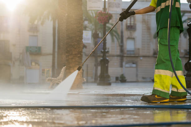 Best Gutter Cleaning  in Elma Center, NY